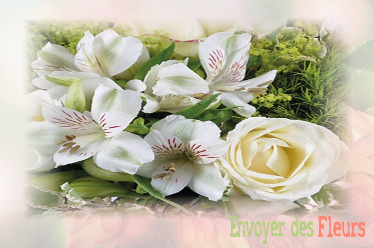 envoyer des fleurs à à FAVEROLLES-SUR-CHER